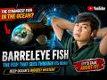 Barreleye Fish #barreleyefish #deepsea #darkness