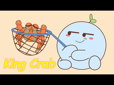🦀Why does everyone only eat the legs of a king crab?🤤 #seafood #crab #yummy