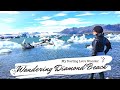 Wandering Jökulsárlón Glacier Lagoon in Iceland