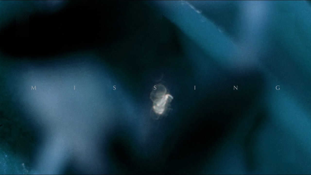 Ver Paul Cut - Missing (Video) no YouTube Ver Paul Cut - Missing (Video) no YouTube