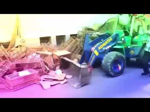 بشرة خيش للجسمي اا السيسى دكر عالبلطجية اا اغنية مسخرة