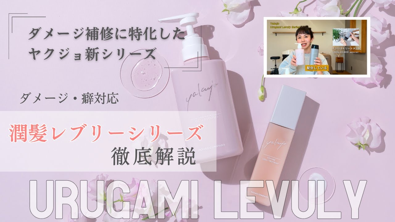 潤髪LEVULYアウトバストリートメント ヤクジョ潤髪LEVULYアウトバストリートメント|ヤクジョ