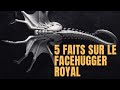 5 faits sur letrange facehugger royal ou super facehugger