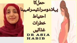 Hamal k pehlay 3 mah kia ehtiyat karen|first trimester pregnancy care|first trimester