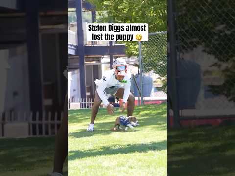 Diggs had to chase the dog 😭 (via PatriotsCLNS/X)
