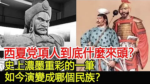 西夏党项人到底什么来头？史上浓墨重彩的一笔，如今演变成哪个民族？︱民族︱考古︱奇闻#风云史记 - 天天要闻
