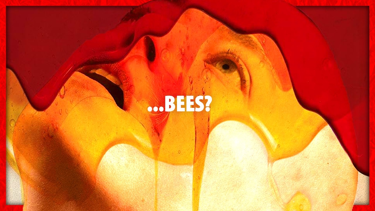 What Exactly is BUGONIA About?