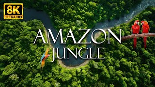 Wild Animals Of Rainforest: Relaxation Film & Nature Sounds - Amazon Jungle 8K ULTRA HD