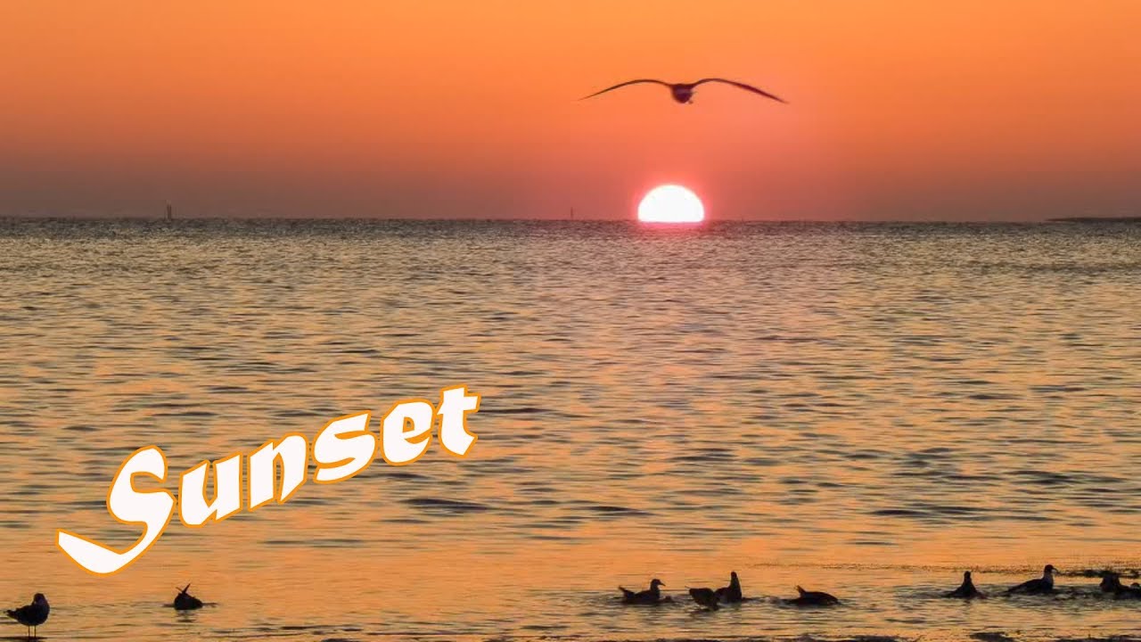 Florida sunsets  at the beaches and parks | Relaxing music