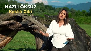 Keklik Gibi [] - NAZLI ÖKSÜZ & Düzce Müzisyenleri Resimi