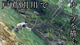 【北海道Fryfishig】十勝No.1の清流。復活した戸蔦別川をビッグドライで楽しむ