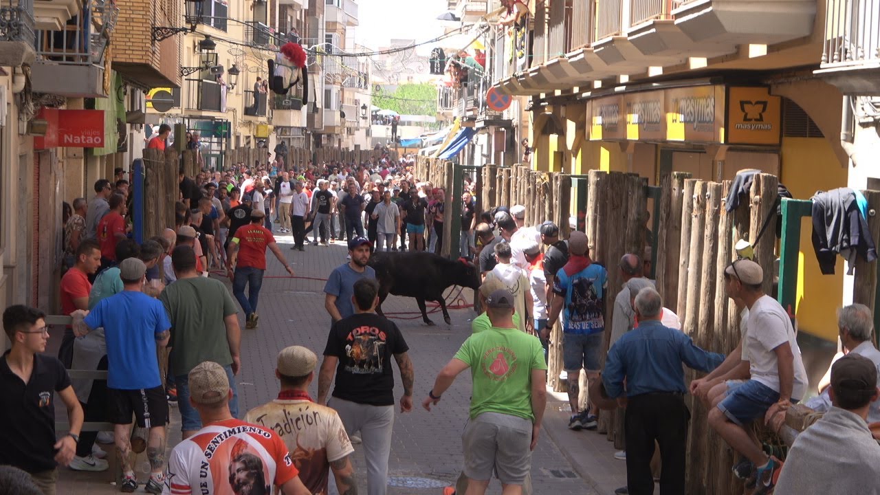 Beas de Segura ( San Marcos 2025 ) 2º