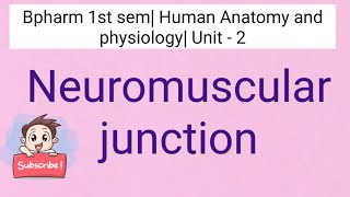 Neuromuscular Junction