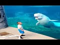 You will not stop laughing after watching these funniest pets  funny animals  cool pets