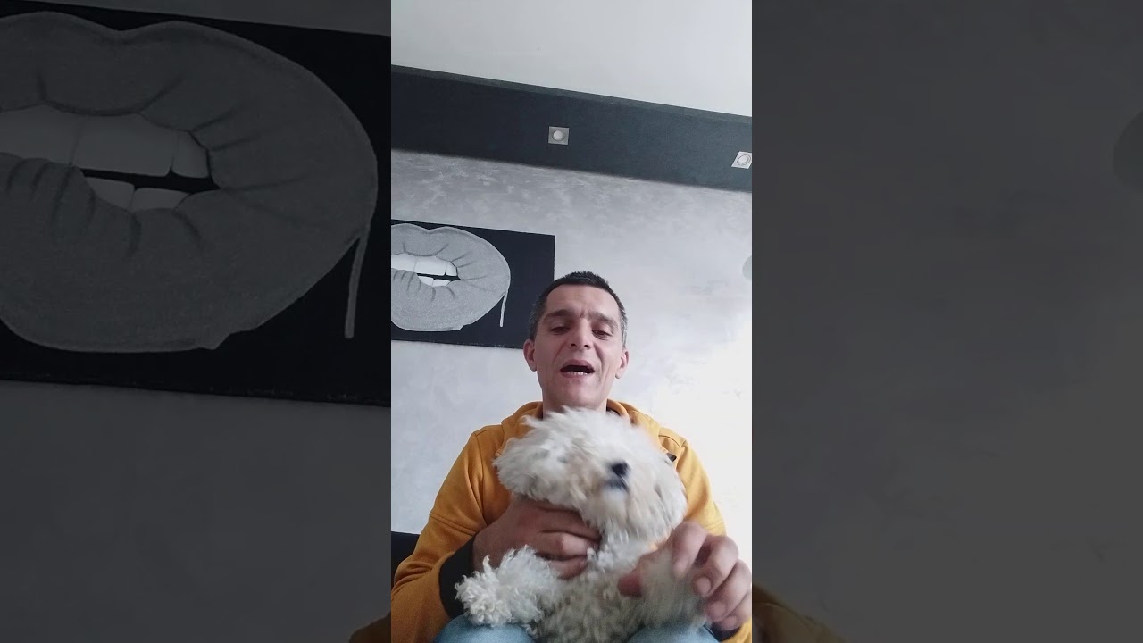 Nesto sto bi trebali znati o kovrdzavim bisonima.