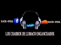 ENGANCHADOS DE LOS CHARROS DE LUMACO