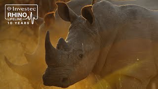 A decade of making a difference | Investec