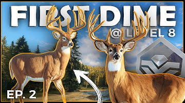 1st DIAMOND & TROLL at LEVEL 8 on "NEW GAME" RESTART!!! - Beginner Series Pt. 2