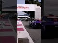 The pack is unleashed!