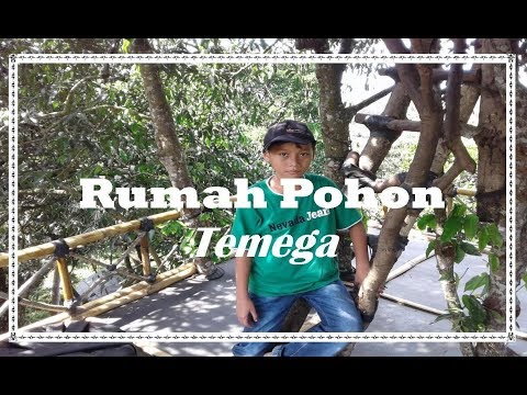 rumah-pohon-temega-#-tempat-wisata-baru-yang-lagi-hits,-karangasem,-bali-#-travel-diary-vlog