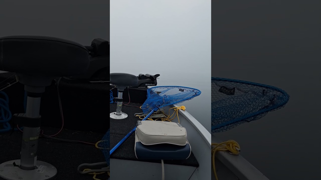 Fishing stow away #fishing