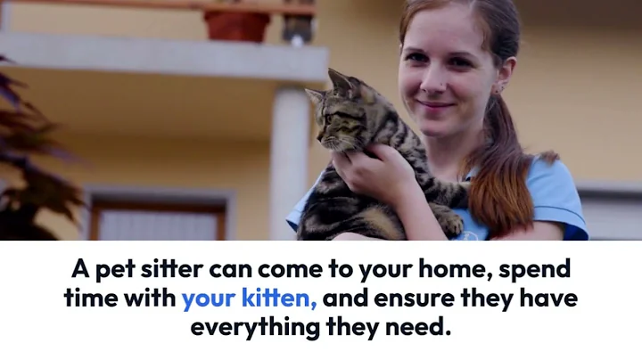 Can You Leave a Kitten Alone Overnight? Here's What You Need to Know