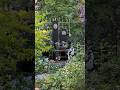 【2026.5中旬】薔薇の開花はもう間近♪