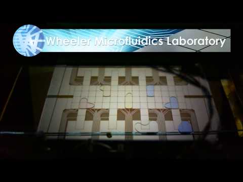 Digital Microfluidic Titration