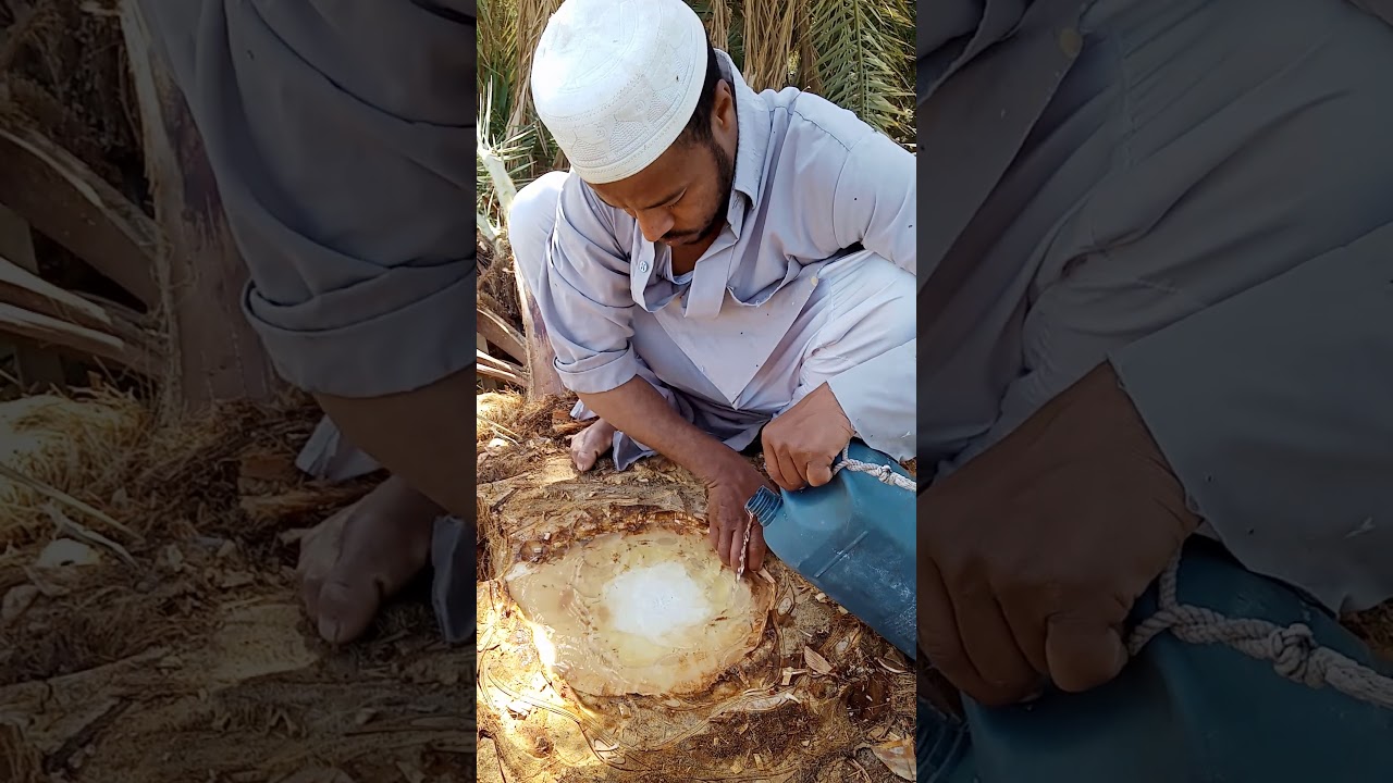 حصري ولأول مرة 