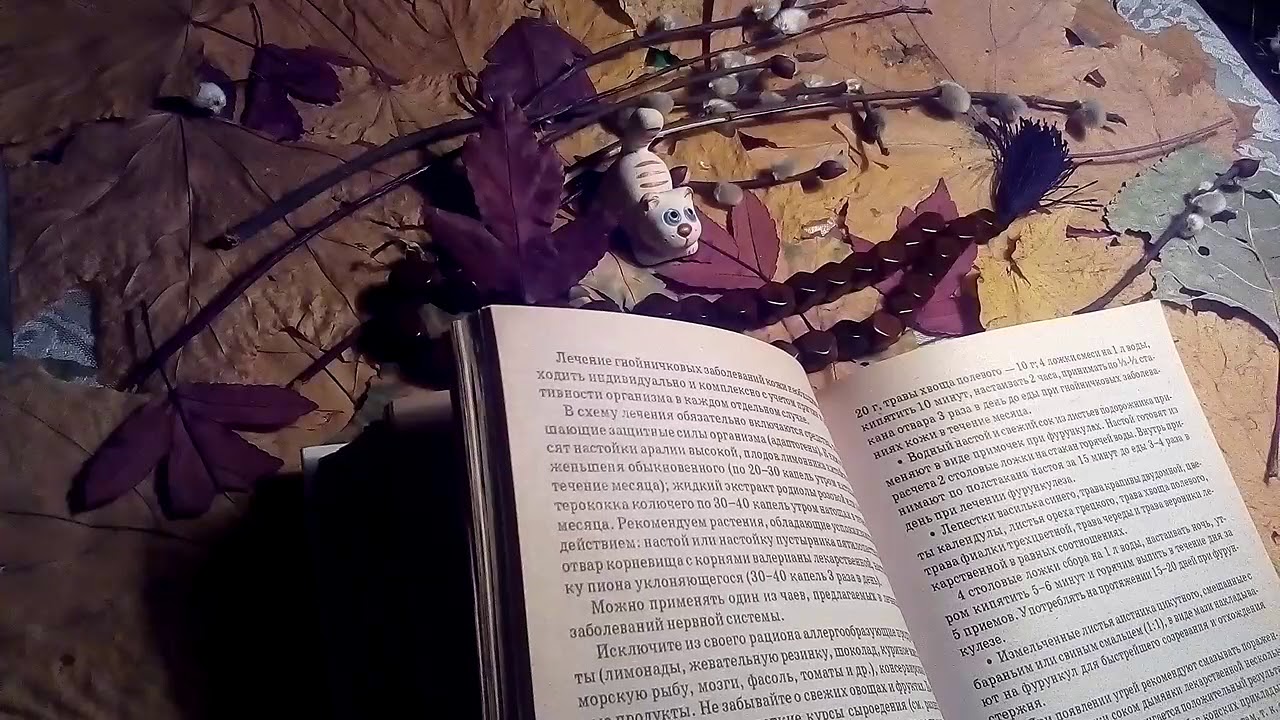 Гнойничковые заболевания кожи (фурункулез, угревая сыпь, пиодермиты ...