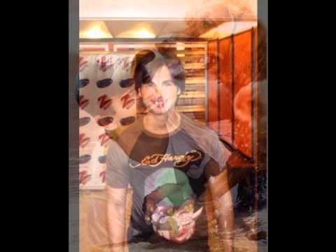 شارب 3 استيلا