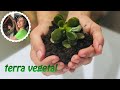 INCRÍVEL: COMO PRODUZIR TERRA VEGETAL DE GRAÇA