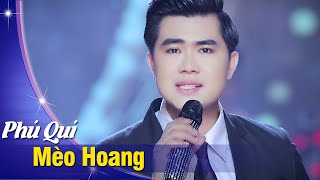 Mèo Hoang - Phú Quí | Nhạc Trữ Tình Hay Tê Tái Con Tim (Official Music Video)