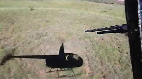 Helicopter Hog Hunting In West Texas With Shotgun