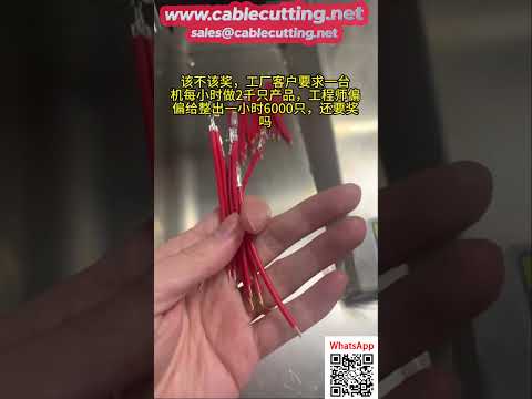 5-Wire Multi-Function Crimping and Tinning Machine with Optional Dual-Head