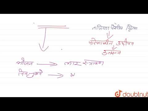 वीडियो: निम्नलिखित में से कौन रोटेटर की क्रिया है?