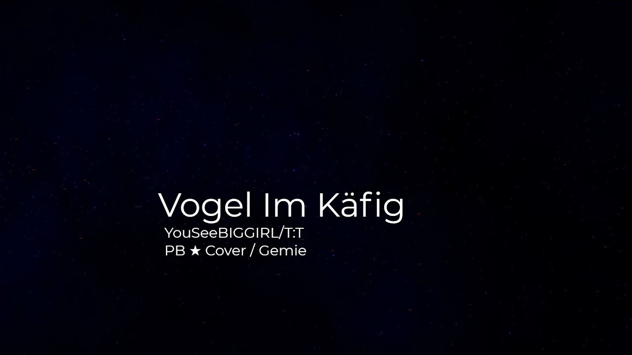 Vogel Im Käfig PB★Cover + YouSeeBIGGIRL/TT w/Lyrics YouTube