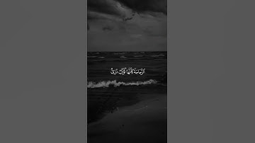 جزء من الآية 35 من سورة النور | ناصر القطامي