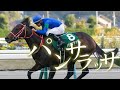 【競馬MAD】〜世界のパンサラッサ〜  /ヘイトキラー -WON