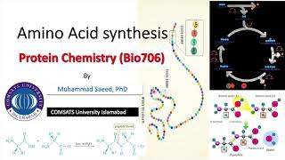 Amino acid synthesis-1, citric acid cycle, TCA, biomimicking, Reductive & transamination, Halo acids