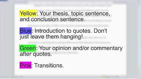 Argument Essay Editing & Revising