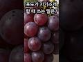 포도의 자기소개 멘트는? #넌센스퀴즈  #웃음 #아재개그
