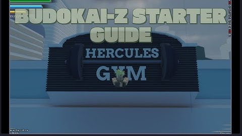 Training Guide For New players in Budokai-z!