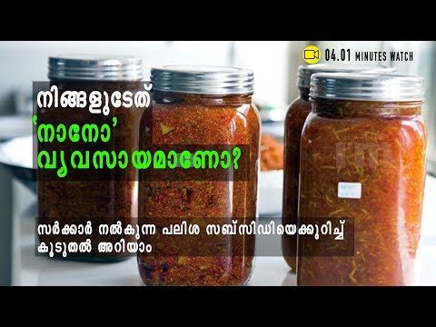 നാനോ വ്യവസായങ്ങളെ പ്രോത്സാഹിപ്പിക്കാന്‍ സര്‍ക്കാരിന്റെ 'പലിശ സബ്സിഡി'