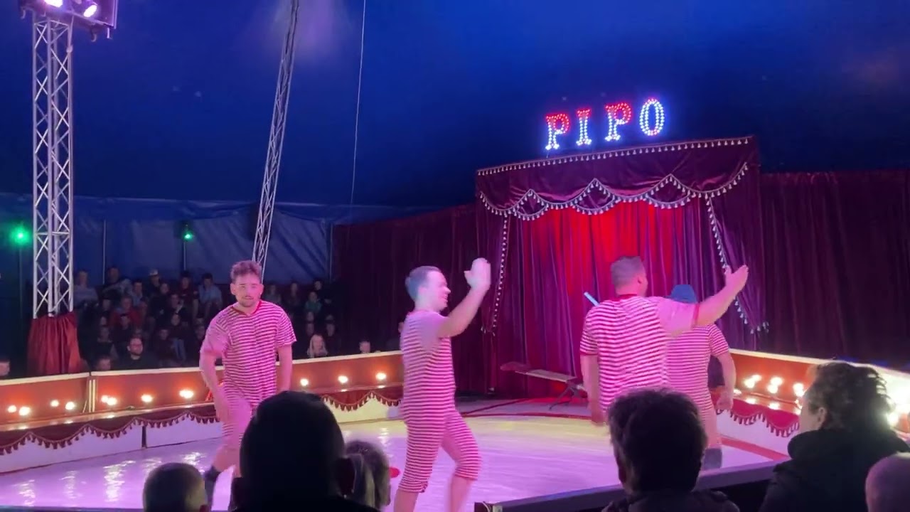 Circus  PIPO 🎪 🤡 🇧🇪 #brugge