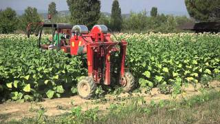 Comanassisi - NEW Self-propelled Tobacco Pruning & Topping (Cimatrice semovente tabacco)