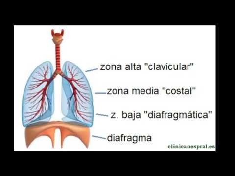 Que es una parada cardiorrespiratoria