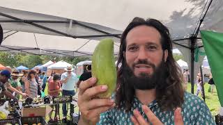 Exotic fruit stand in Central Florida