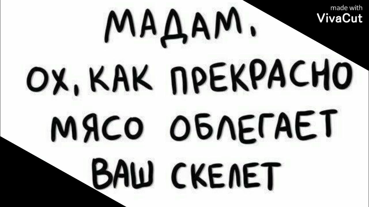 Бисакодил песня текст. Бисакодил гилава текст.