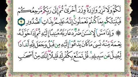 سورة الزمر الحصرى المعلم